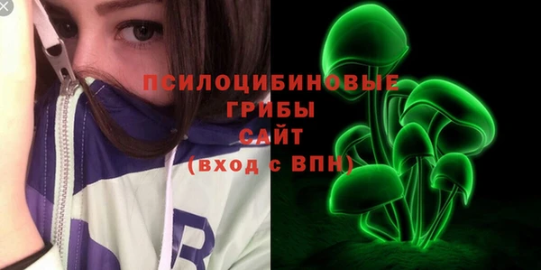 шишки Алексеевка