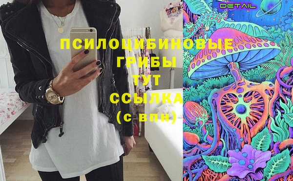 тгк Алзамай