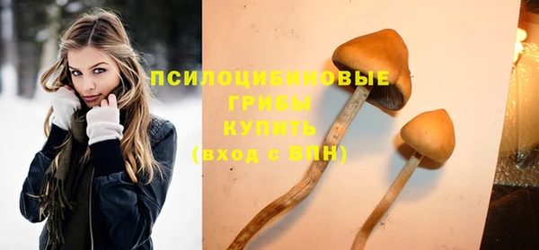 прущие крисы Алексин