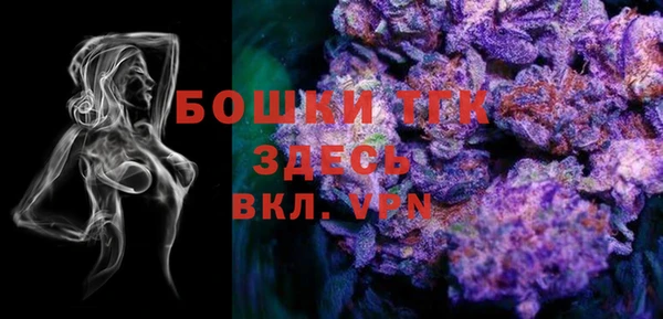 тгк Алзамай