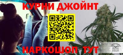 гидра Волгодонск