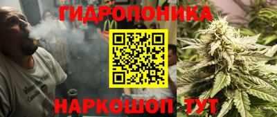 прущий лед Канаш