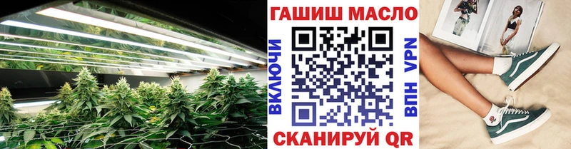 ТГК Wax  Глазов 
