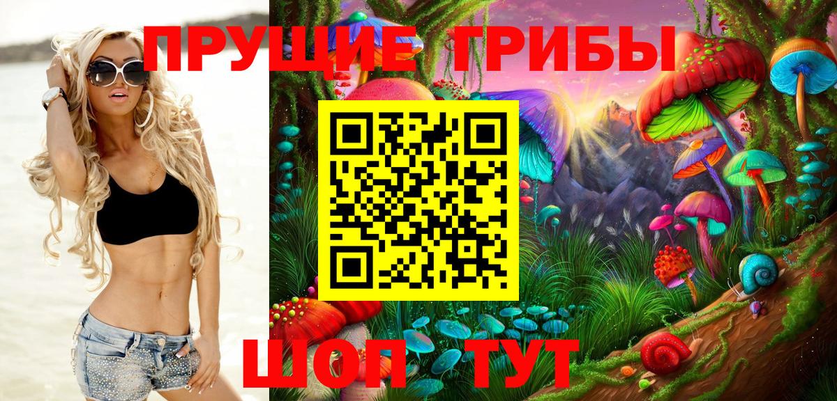 Галлюциногенные грибы Psilocybine cubensis  Вход с VPN  Глазов 