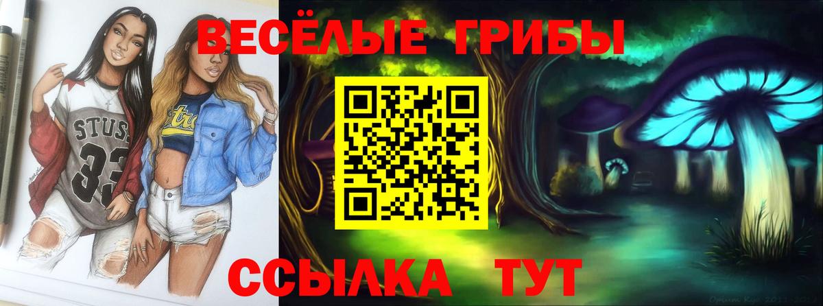 Псилоцибиновые грибы Psilocybine cubensis  сколько стоит  Псилоцибиновые грибы Psilocybine cubensis  Глазов 