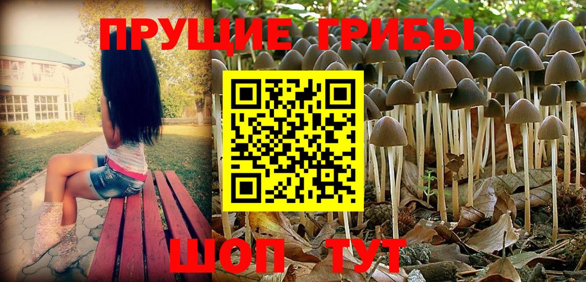 Псилоцибиновые грибы GOLDEN TEACHER Глазов